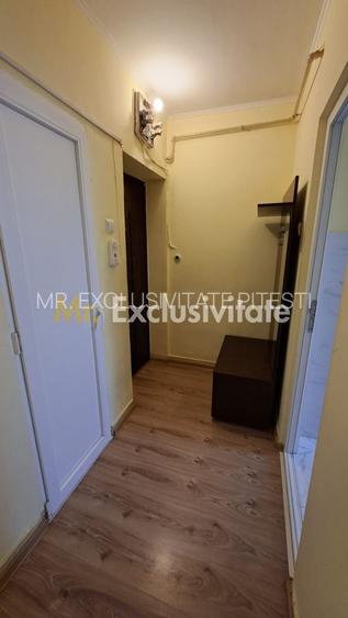 Inchiriere apartament 2 camere Craiovei mobilat si utilat - 7