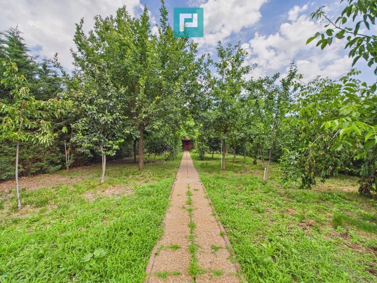 Casă individuală cu iaz, saună, gradină | Săcălaz