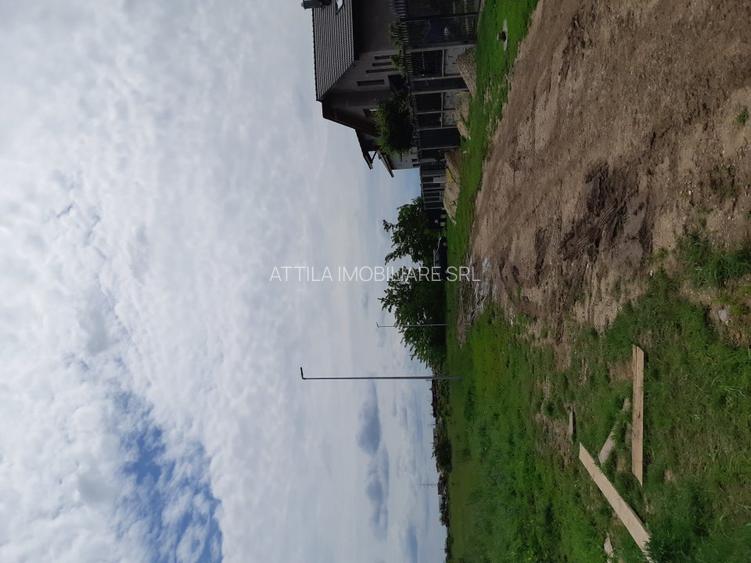 Dumbravita teren 699 mp 135000 euro - 4