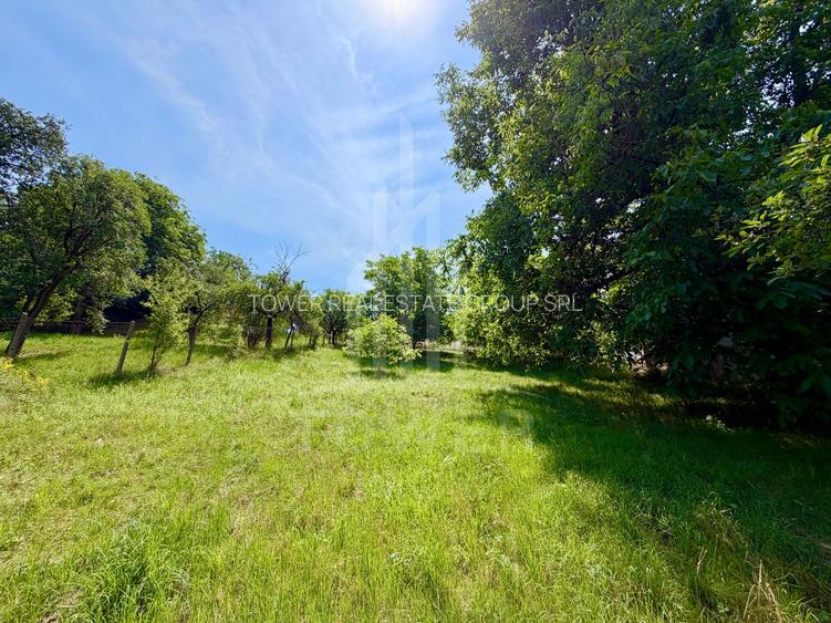 Casă de vânzare-teren 2.300 mp| Ocna Sibiului - 30