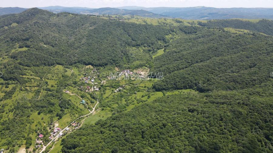 Teren spectaculos cu padure, livada si priveliste panoramica in Soimari PH - 9
