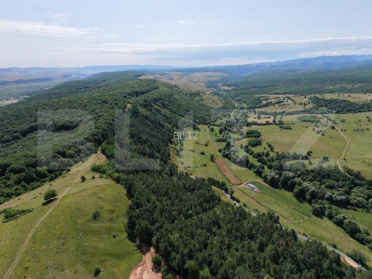 Teren de vanzare, 3710 mp, zona Agarbiciu - 10