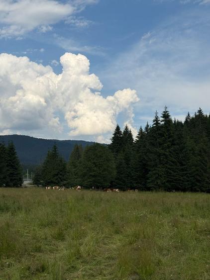 PARCELE DE VÂNZARE, pe malul râului BÂSCA, COMANDAU, COVASNA