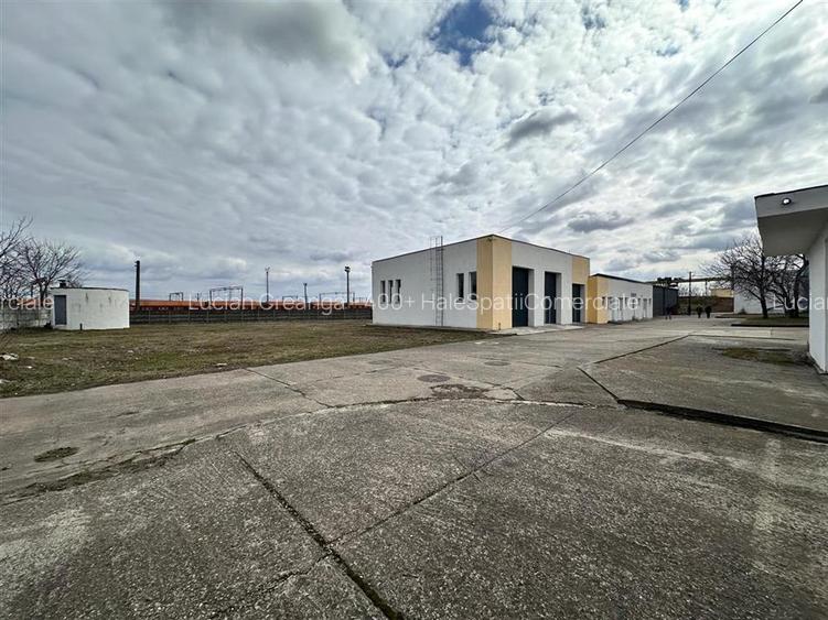Hale/ spatii comerciale Pascani, str. Vatra, de la 300mp la 5000mp - 13
