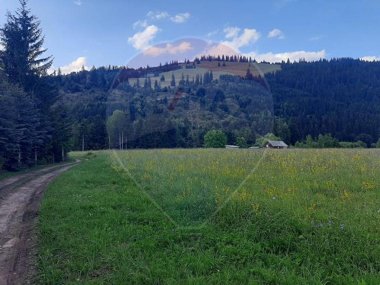 Vanzare Teren 13.650 mp , Suceava / com.Dorna Arini