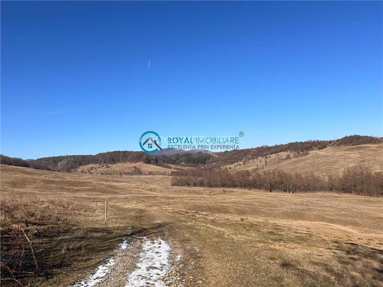 Royal Imobiliare- Vanzare Casa de Vacanta Teisani - 9