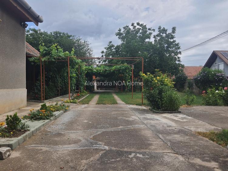 Casă individuală, St = 3.000 mp | Biled, jud. Timiș - 3