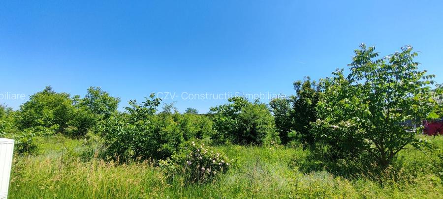 Lot pentru două case – Corbeanca Tamași - 13