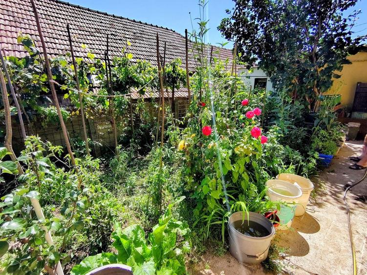 Casa unifamiliala 120 mp utili,  cu 477 mp teren, garaj, Dambul Rotund