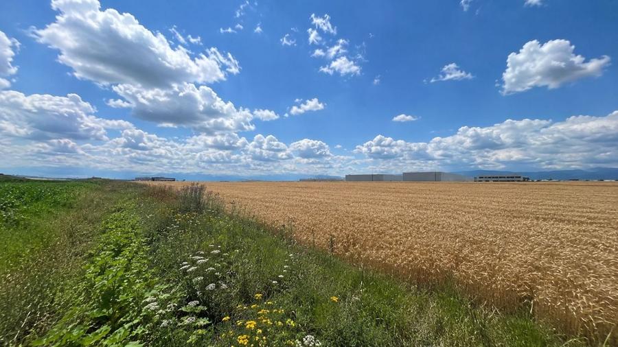 Teren intravilan 38.676 mp | 10 parcele | Zona de Vest