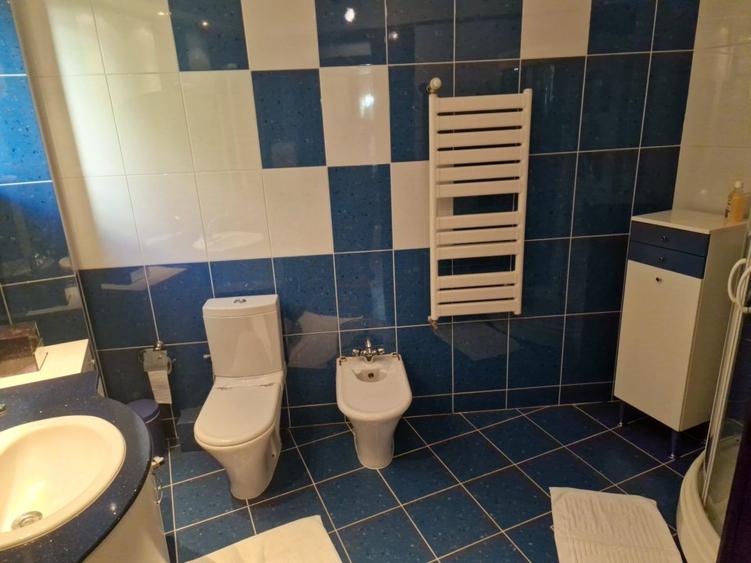 De Vanzare Vila Ultracentral Suceava