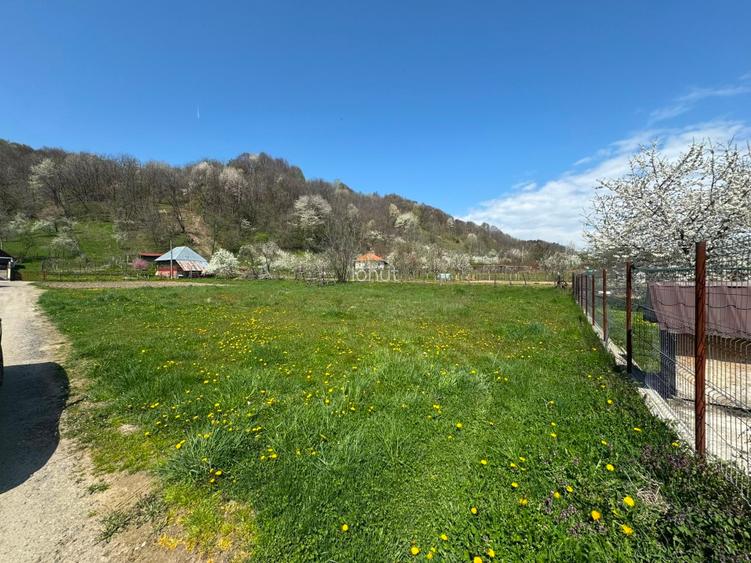 Teren de vanzare 1420 mp - sat Oestii Pamanteni, Comuna Corbeni, jud. Arges - 5