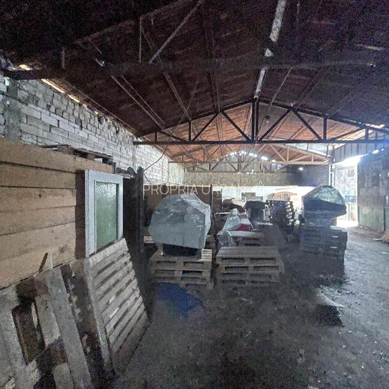 Complex industrial/Ferma de vânzare | Orțișoara, jud. Timiș - 5