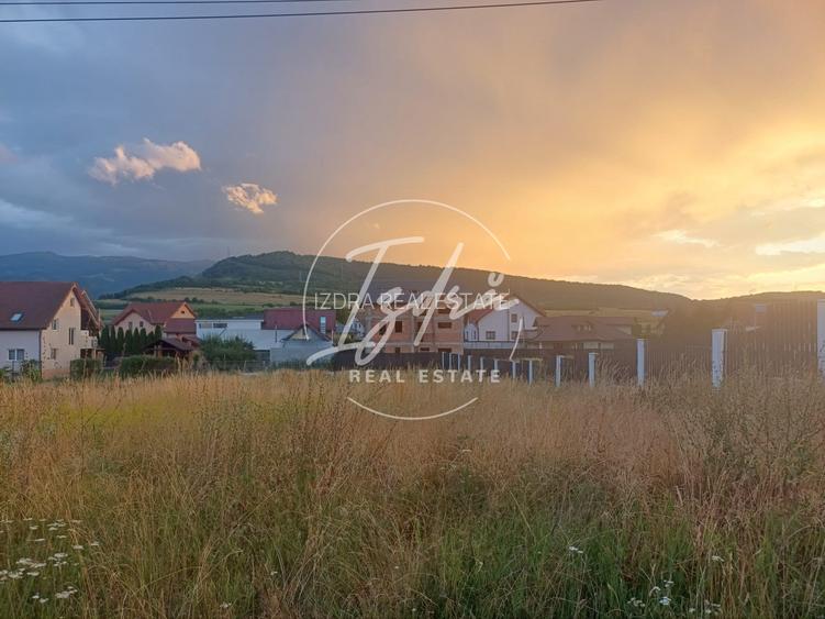 Teren intravilan pentru casa in Talmaciu - 3