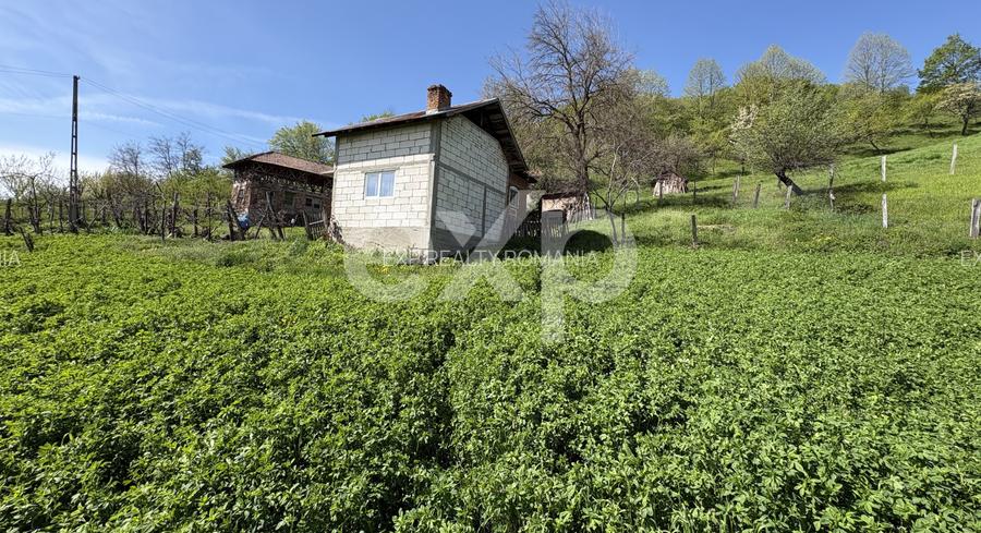 14.613 mp teren | Casă la roșu și 2 case tradiționale | 1,5 km de A1 Tigveni - 8