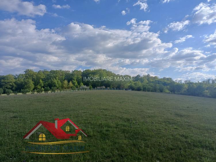 Teren extravilan Bradu - zona cu panorama superba - 2