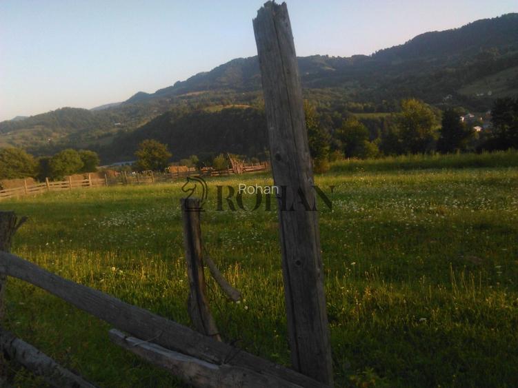Teren intravilan 5360mp Bistrita Nasaud | Tiha Bârgăului - 8