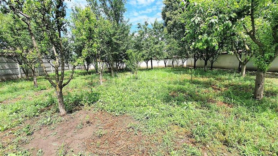 Casa individuala 140 mp cu teren 1400 mp Selimbar - 2