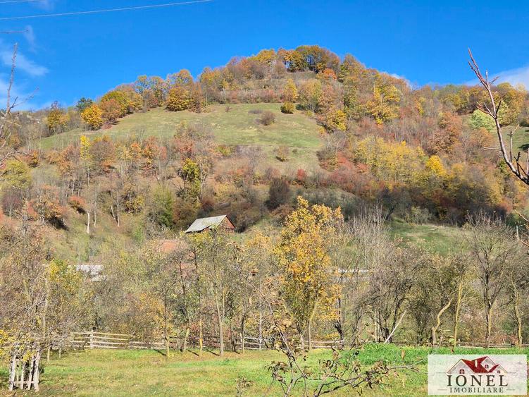 Casa de vanzare in Trampoiele (Zlatna)