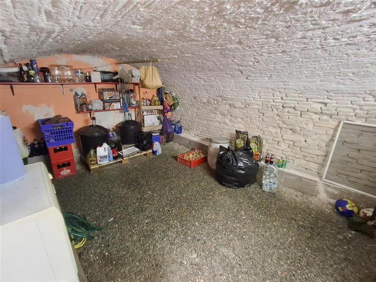 Casa formata din 2 apartamente pivnita zona Turnisor