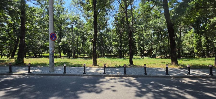 Vilă Premium cu 6 Dormitoare de Vânzare în Floreasca-Stradă Privată & Grădină - 5