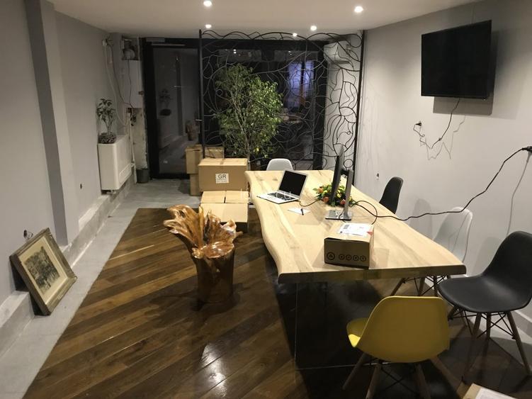 Vila rezidential/firma zona Traian, Cartierul Evreiesc, P+1 - 13