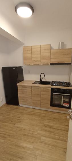3 cam pretabil firma, demisol vila D Cantemir-Metrou Tineretului 600 m