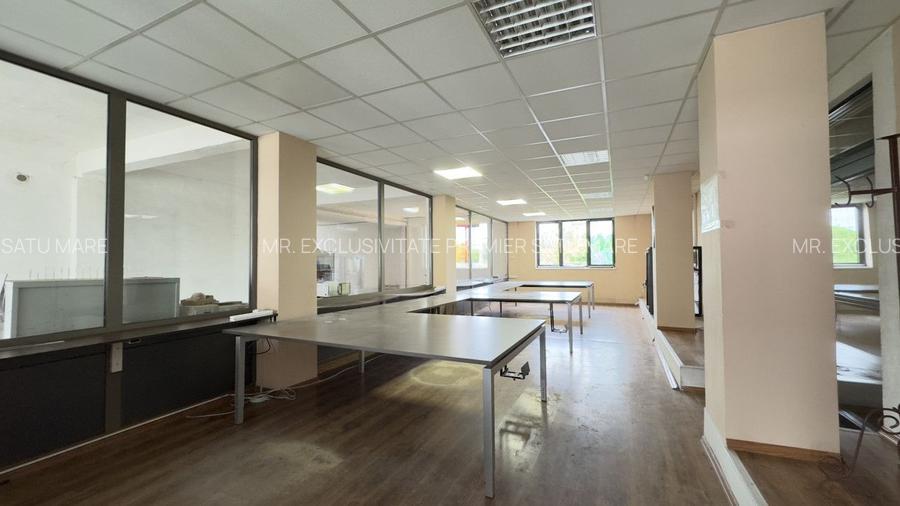 Clădire Industrială Hală Producție, Depozitare, Birouri-Teren 3140 mp - Carei - 6