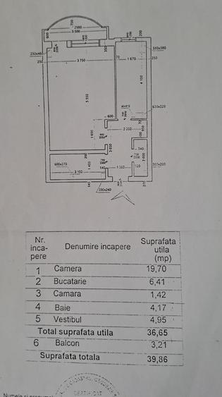 LACUL TEI INTRE PARCUL CIRULUI SI PARCUL TEI