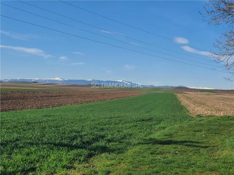 Teren extravilan 4.500- max.18.300mp in comuna Rosia (17 km de Sibiu) - 9