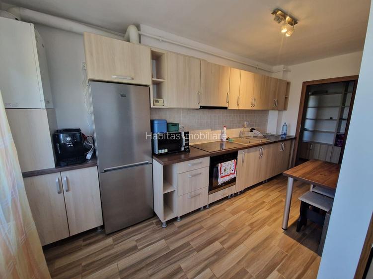 Apartament 2 camere de inchiriat, parcare subeterana, zona Vivo BMW - 10