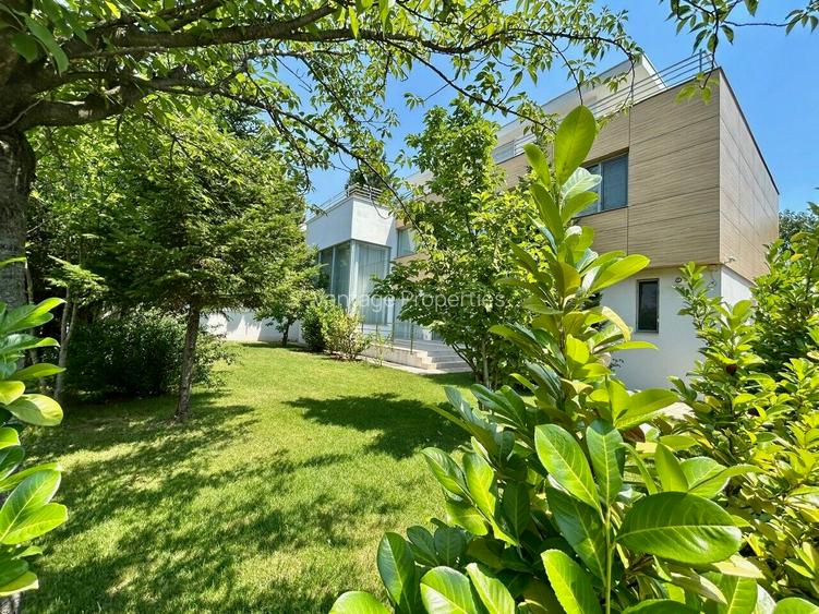 Luxury villa, Cambridge School, Iancu Nicolae area - 3