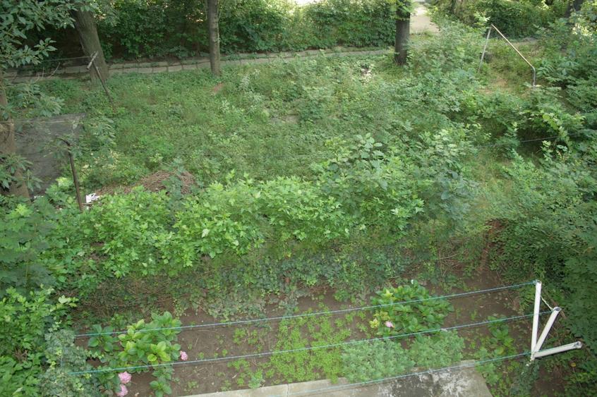FLOREASCA - F. CHOPIN, apartament 2 camere mobilate, ideal rezidenta