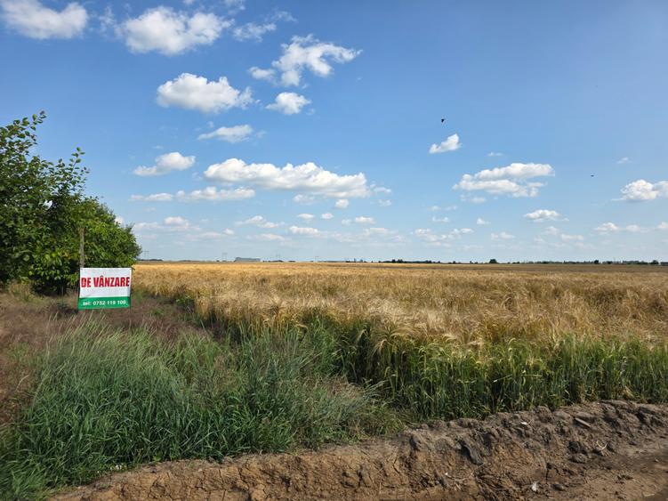Teren de vanzare Popesti Leordeni,str Scolii