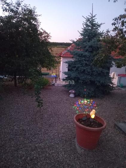 Casă cu panoramă înspre pădure