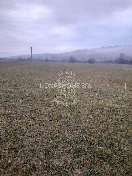 Teren 1698 mp-ideal investitie-Dumitrita, 15 km de Bistrita - 2