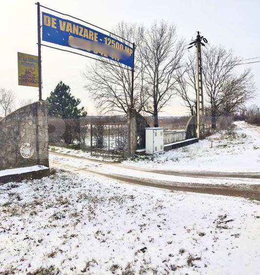 Domeniu privat, 12.500 mp teren, satul Viișoara - Târgoviște