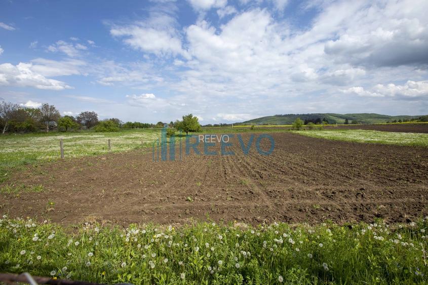 Teren intravilan 4.000 mp Blăgești, Bacău - 11
