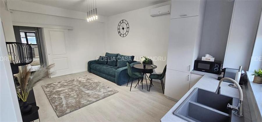 Apartament cu doua camere Valea Lupului - 6