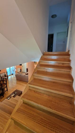 Vila individuala Pipera | 756 mp teren | 7 camere | Padurea Baneasa | Investitie