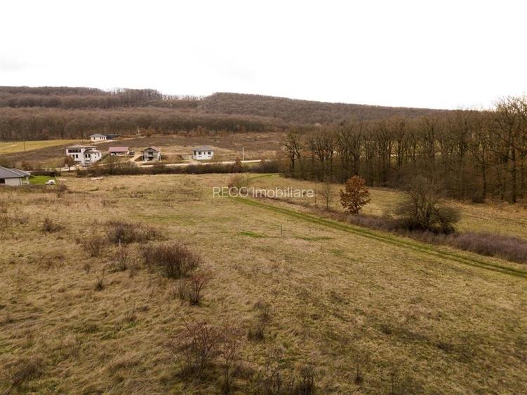 RECO teren intravilan Betfia – ideal pentru casa sau investitie - 8