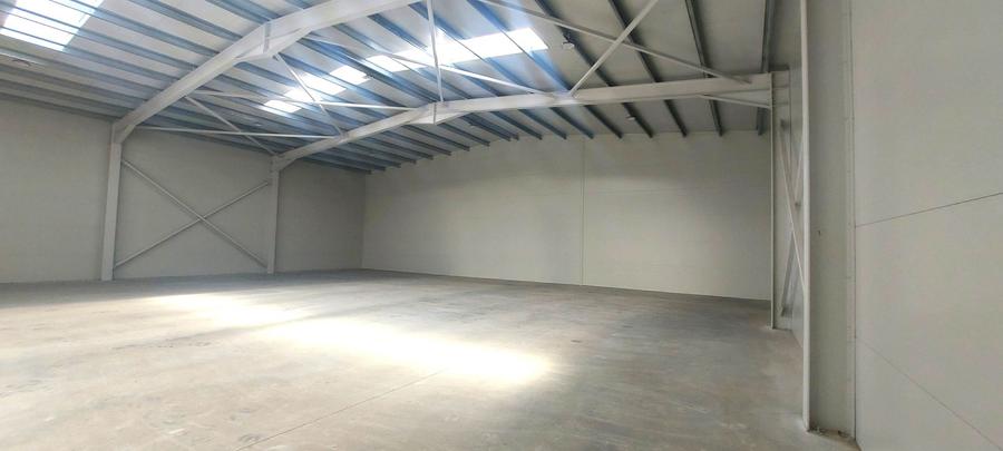 Depozite de inchiriat TBM Grup industrial park Chitila | Acces TIR