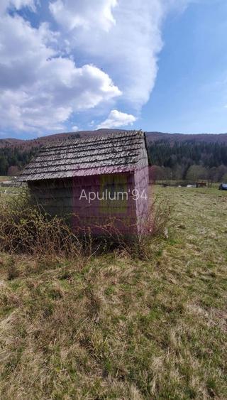 Teren intravilan 2500 mp in Valea Doftanei - 7