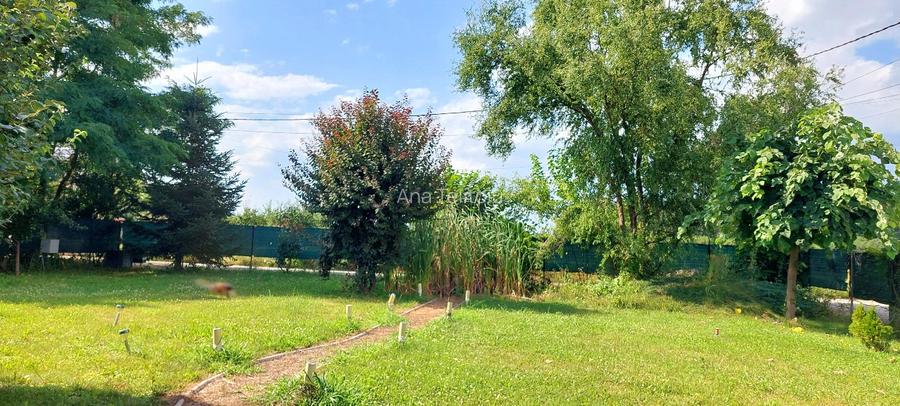 Proprietar, casa dom geodezic, langa padurea Snagov - 3