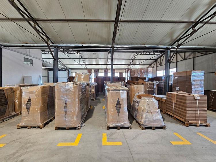 Hale Industriale 5065 mp de vanzare Str. Bradului - Bacau