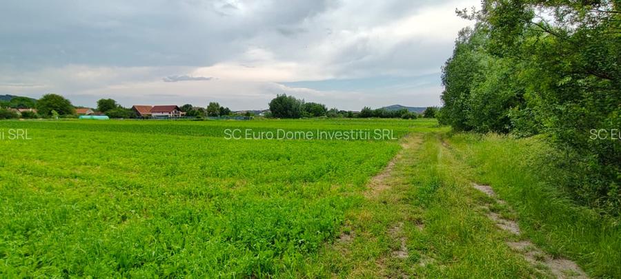 Teren cu sura in spatele caselor de pe str Andrei Saguna - 6