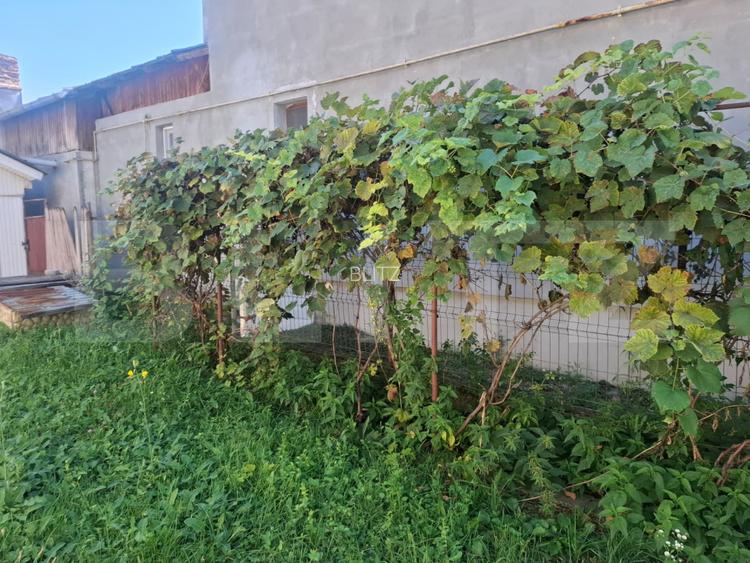 CASA RUSTICA DE VANZARE - 14