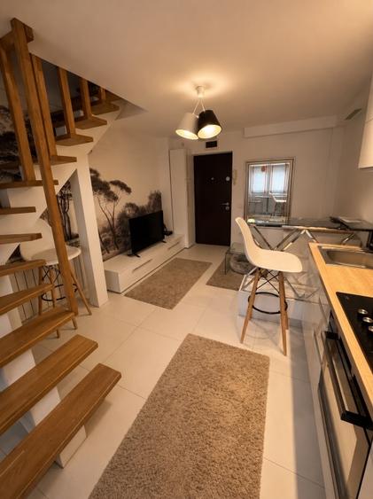 Apartament de 3 camere mansarda (2014)