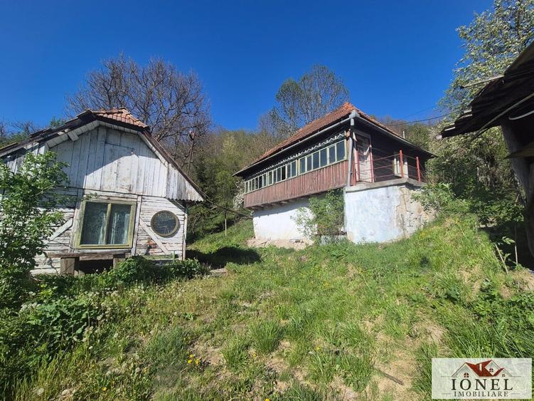 Vanzare casa in Muntii Apusenii - Ocolis
