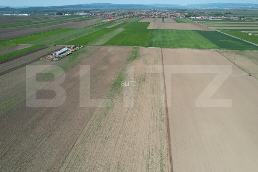 Teren extravilan, 17700mp, zona Prejmer - 12
